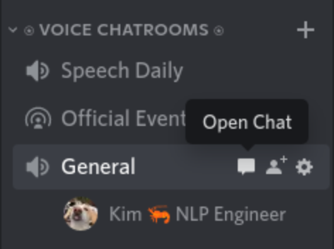 How to open a Discord voice chat channel to start SeaVoice STT.