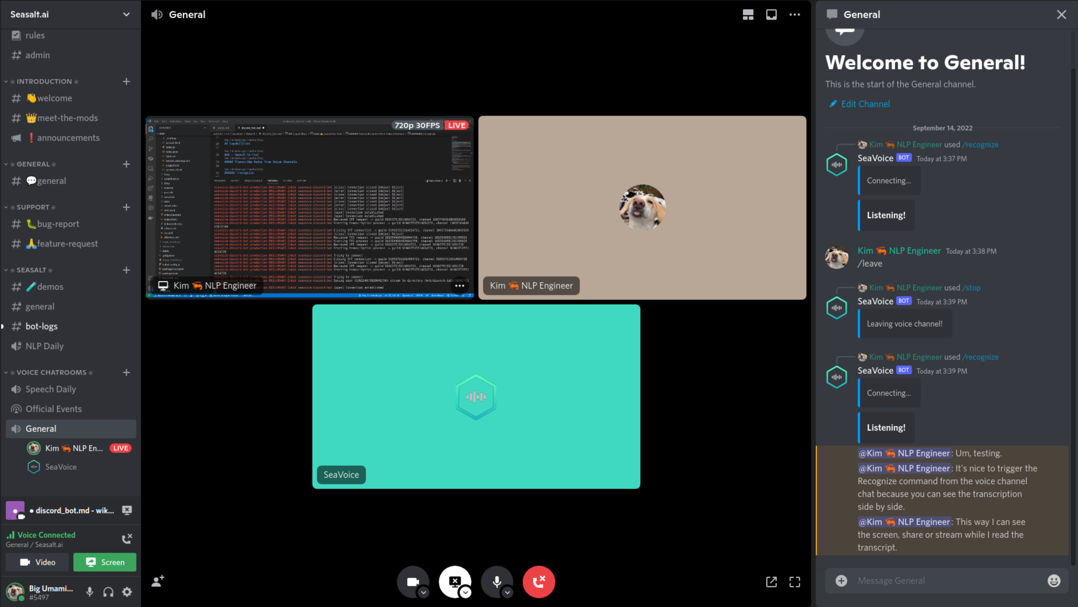 Use SeaVoice Discord bot in a Discord voice chat channel to see live STT transcriptions side-by-side with participants.