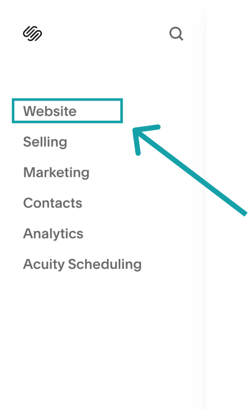 Go to your Squarespace dashboard and click on Website from the menu.