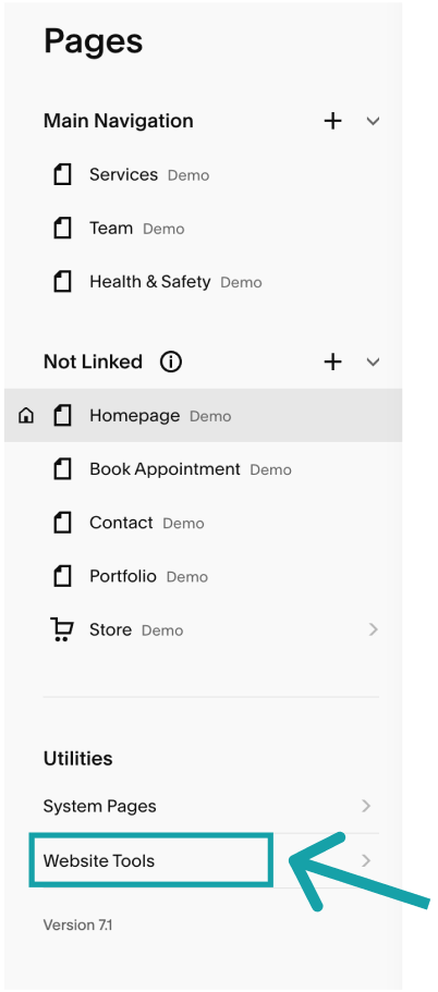 Click on Website Tools on Squarespace